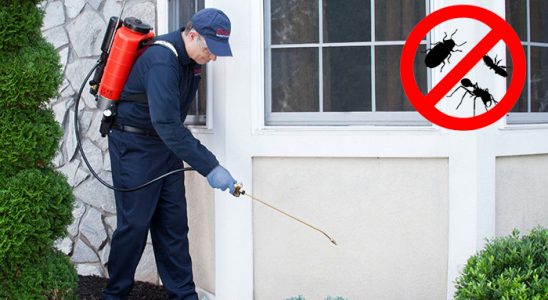 Kulu Böcek ve Haşere İlaçlama böcek ilaçlama ve haşere kontrolü — ilaclama-tr.com